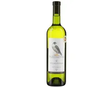 Aargauer AOC Riesling-Sylvaner Falkenkönig (2024) – Weisswein, Schweiz (0.75l)