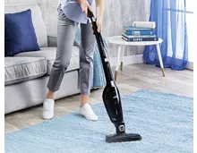 AEG 2 in 1 Staubsauger, Ergorapido AG 3103
