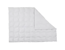 ALBIS Daunenduvet Wärmegrad 2, 200 x 210 cm