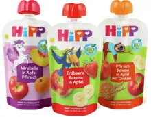 Alle Hipp Quetschbeutel