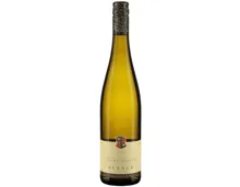Alsace AOP Gewürztraminer Blanck (2022) – Weisswein, Frankreich (0.75l)