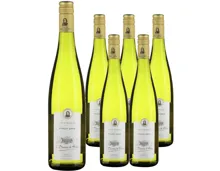 Alsace AOP Pinot Gris Baron de Hoen 6x 75cl (2025) – Weisswein, Frankreich (0.75l)