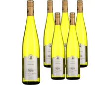 Alsace AOP Riesling Baron de Hoen 6x 75cl (2024) – Weisswein, Frankreich (0.75l)
