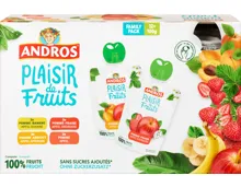 Andros Kompott Plaisir de Fruits