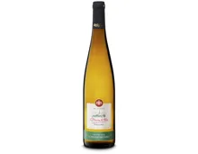 AOC Alsace Grand Cru Schoenenbourg Riesling, Baron de Hoen (2020) – Weisswein, Frankreich (0.75l)