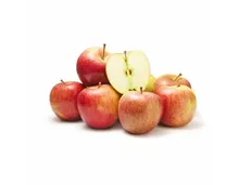 Äpfel Braeburn IP-Suisse