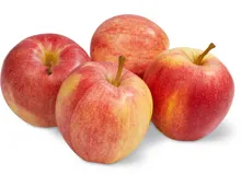 Äpfel Gala