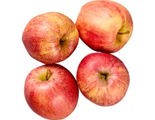 Äpfel Gala