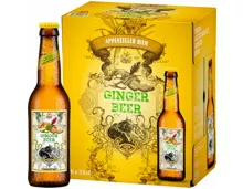 Appenzeller Ginger Beer 6x33cl