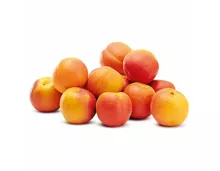Aprikosen extragross
