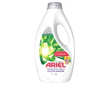 Ariel