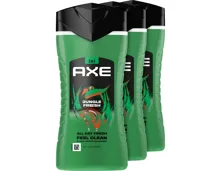 Axe 3in1-Duschgel Jungle Fresh 3 x 250 ml