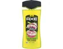 Axe Duschgel Epic Fresh 400ml