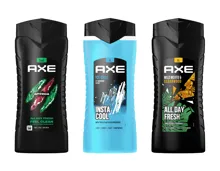 Axe Duschgel