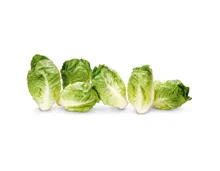 Baby-Salat 6 Stück