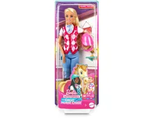 Barbie Mysteries: Das geheimnisvolle Pferdeabenteuer Reiterin Malibu Puppe 3+ Jahre