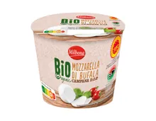 Bio Büffelmozzarella