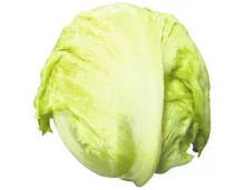 Bio-Eisbergsalat