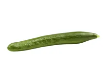 Bio Gurken