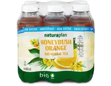 Bio Honeybush Orange ohne Zucker 6x50cl