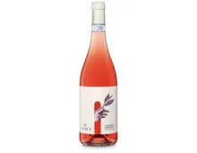 Bio Naturaplan Cerasuolo d'Abruzzo DOC Jasci (2025) – Roséwein, Italien (0.75l)