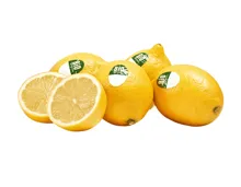 Bio Zitronen