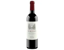 Bolgheri Superiore DOC Sor Ugo Aia Vecchia (2023) – Rotwein, Italien (0.75l)