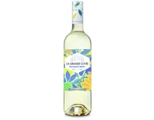 Bordeaux AOC Dourthe Sauvignon Blanc La Grande Cuvée (2025) – Weisswein, Frankreich (0.75l)