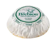 Brebiou