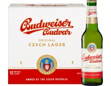 Budweiser Original Lagerbier