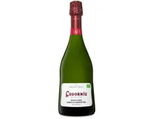 Cava DO Selección Raventós Codorníu, brut – Schaumwein, Spanien (0.75l)