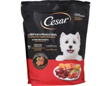 Cesar Adult Rind & Geflügel 1,4 kg
