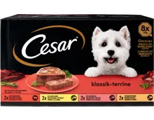Cesar Hundefutter Klassik-Terrine
