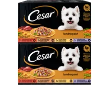 Cesar Hundefutter Landragout in Sauce