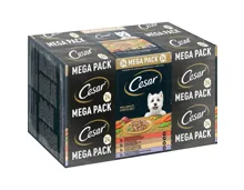 Cesar Landragout in Sauce 24 x 150 g