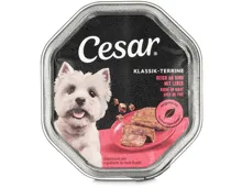 Cesar Schale Klassik Rind & Leber Terrine