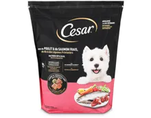Cesar Trockenfutter Huhn & Lachs