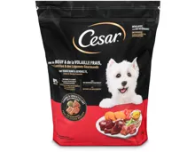 Cesar Trockenfutter Rind & Geflügel