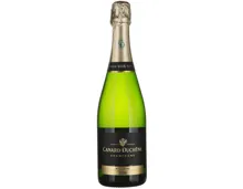 Champagne AOC Millésime brut Canard-Duchêne (2018), Frankreich (0.75l)