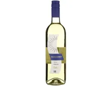 Chardonnay Chile Valle Central Solendo (2024) – Weisswein, Chile (0.75l)