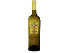 Chardonnay Salento IGP Andante (2024) – Weisswein, Italien (0.75l)