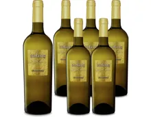 Chardonnay Salento IGP Andante 6x 75cl (2024) – Weisswein, Italien (0.75l)