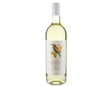 Chasselas Vin de Pays Badischer Landwein (2023) – Weisswein, Deutschland (0.75l)