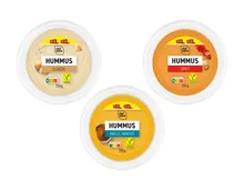CHEF SELECT Hummus XXL