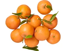 Clementinen