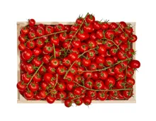 Cocktailstrauchtomaten