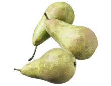 Conférence-Birnen IP-Suisse