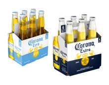 Corona Bier