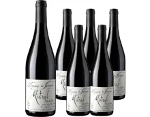 Côtes-du-Rhône AOC Mistral Domaine de Ferrand 6x 75cl (2024) – Rotwein, Frankreich (0.75l)