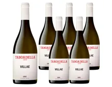 Dão DOC Taboadella Branco 6x 75cl (2025) – Rotwein, Portugal (0.75l)